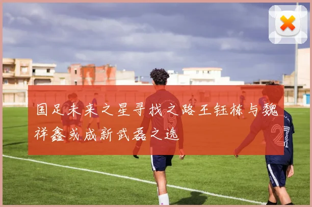 国足未来之星寻找之路王钰栋与魏祥鑫或成新武磊之选